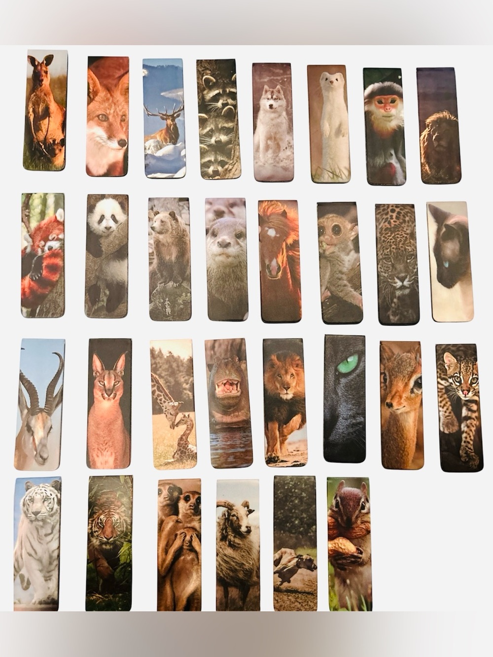 Animal Photo Magnetic Bookmarks(3)